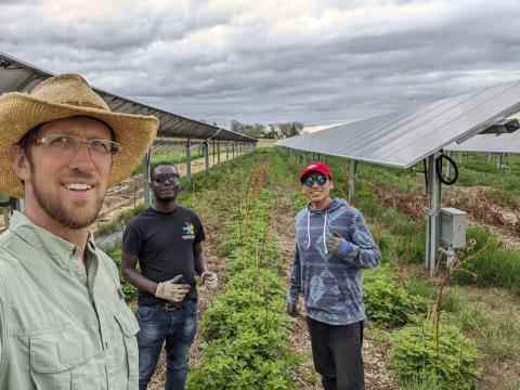 Byron Kominek + Jacks Solar Farm